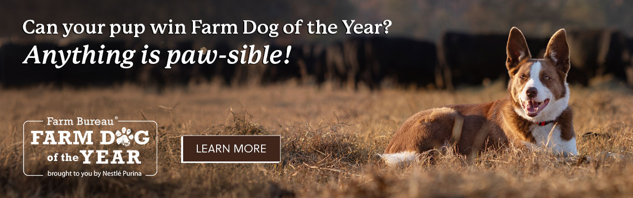 Farm Dog of the Year