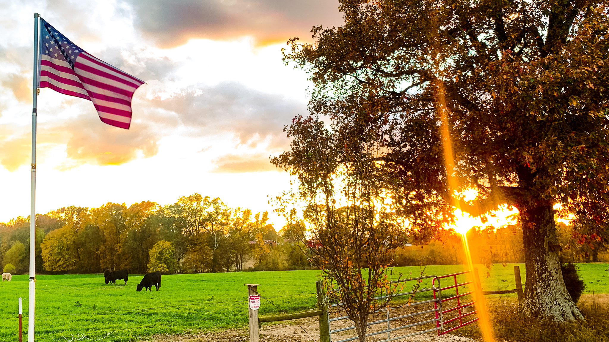 AFBF Morgan Walker Flag Farmscape